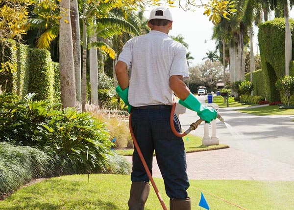 About Cedar Springs GA Pest Control Pros